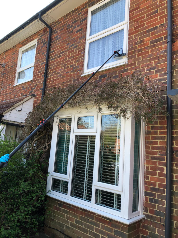 Water-fed pole window cleaning in Croydon